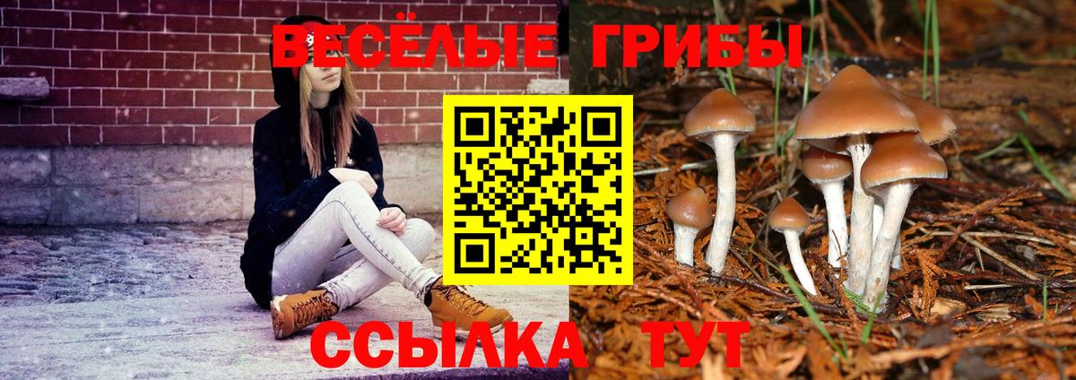 Псилоцибиновые грибы прущие грибы  Вход с VPN  Галлюциногенные грибы прущие грибы  Бутурлиновка 