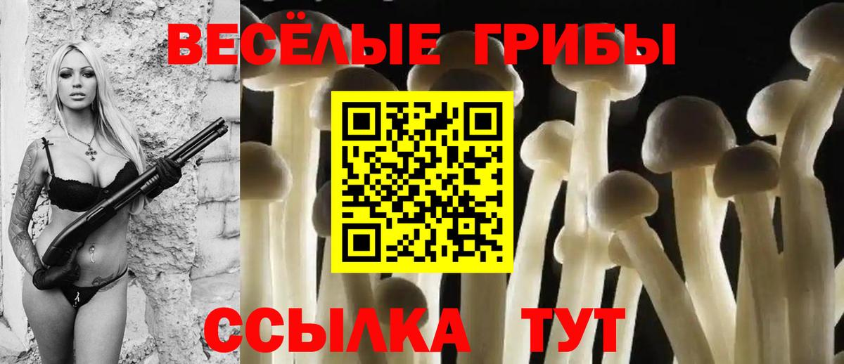 Галлюциногенные грибы Psilocybine cubensis Бутурлиновка